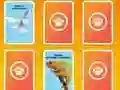 Permainan National Geographic Kids Matching secara online