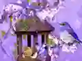 Permainan Wonderful Humming Bird Land Escape secara online