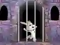 Permainan Victory Rabbit Escape secara online