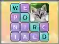 Permainan Word Search Pictures secara online