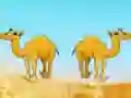 Permainan Desert Gold Rush The Great Treasure Escape secara online