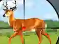 Permainan Wild Hunt Hunting Games 3D secara online