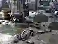 Permainan Friends Rescue From Skeleton secara online