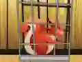 Permainan Rescue The Red Squirrel From Cage secara online