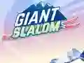 Permainan Giant Slalom secara online