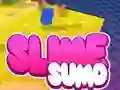 Permainan Sumo Slime 3D secara online