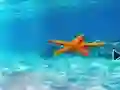 Permainan Escape From Underwater Starfish secara online