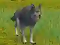 Permainan The Wolf: Wild Animal Simulator secara online