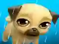 Permainan My Virtual Pet Louie the Pug secara online