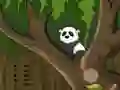 Permainan Panda Jungle Escape secara online