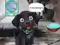 Permainan Feed Hungry Black Dog secara online