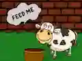 Permainan Find The Cow Feed secara online