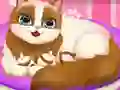 Permainan Cute Kitty Pregnant secara online