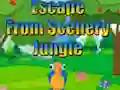 Permainan Escape from Scenery Jungle secara online