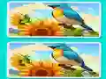 Permainan Spot the Difference The Garden secara online