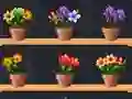 Permainan Good Flower Master secara online