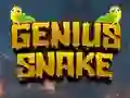 Permainan Genius Snake secara online