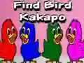 Permainan Find Bird Kakapo secara online