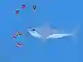 Permainan Oceans Shees secara online