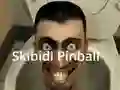 Permainan Skibidi Pinball secara online