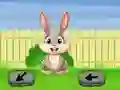 Permainan Springtime Escape secara online