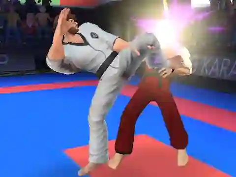 Permainan Karate Fighter secara online