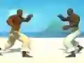 Permainan Capoeira fighter secara online