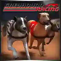 Permainan Greyhound Racing secara online