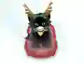 Permainan Pet Sledding secara online