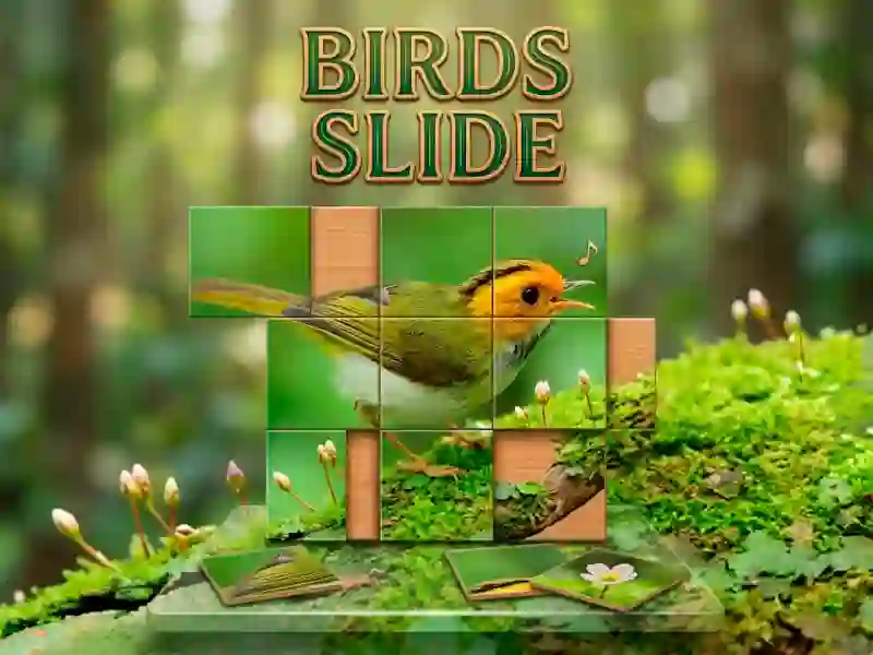 Permainan Birds Slide secara online