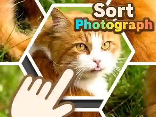 Permainan Sort Photograph secara online