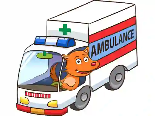 Permainan Cartoon Ambulance Puzzle secara online