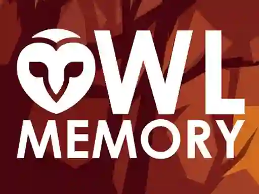 Permainan Owl Memory secara online