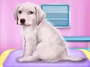 Permainan Labrador at the doctor salon secara online
