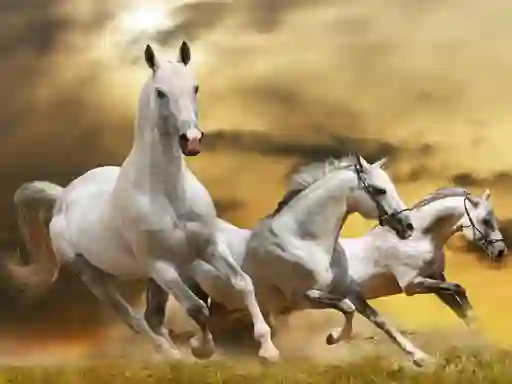 Permainan Running Horse Slide secara online