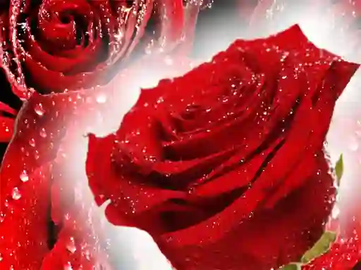 Permainan Red Roses secara online