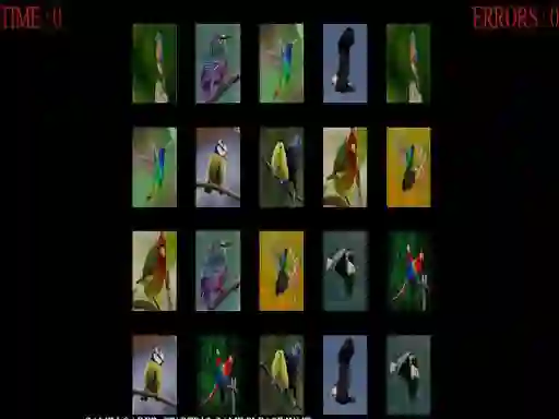 Permainan Memorize the birds secara online
