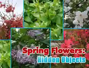 Permainan Spring Flowers: Hidden Objects secara online