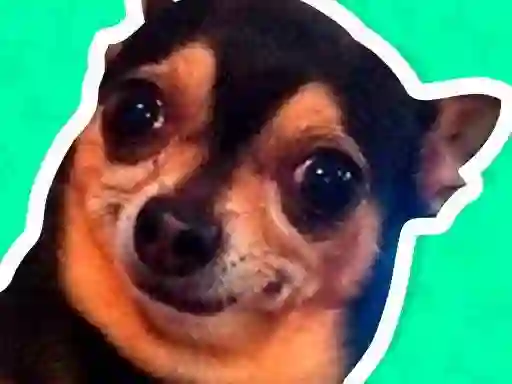 Permainan What meme dog are you ? secara online