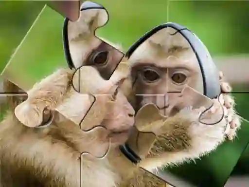 Permainan Chimpanzee Jigsaw secara online