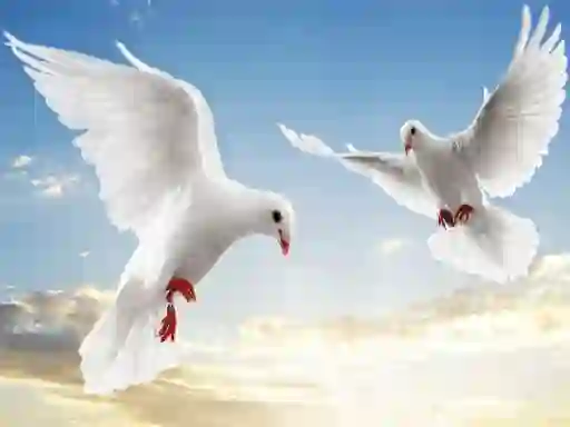 Permainan Flying Birds secara online