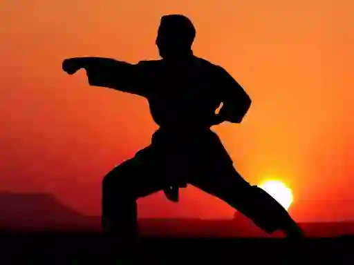 Permainan Karate Sunset Warriors secara online
