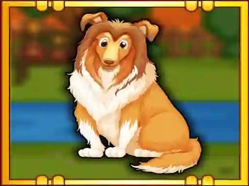 Permainan Bernese Mountain Dog Escape secara online