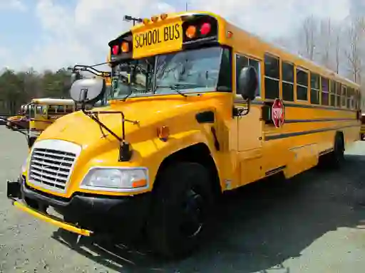 Permainan School Buses Puzzle secara online
