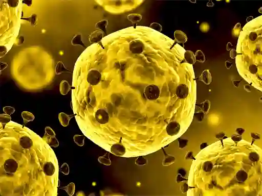 Permainan Coronavirus Slide secara online