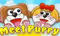 Permainan Meet Puppy secara online