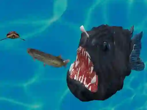 Permainan Fish 3d secara online