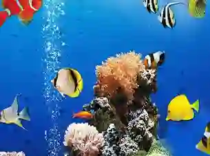 Permainan Sea Underwater Difference secara online