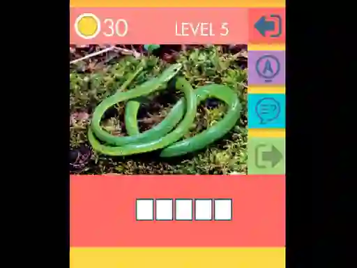Permainan 15 Picture Quiz secara online