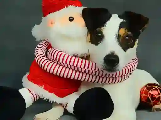 Permainan Funny Christmas Dogs secara online